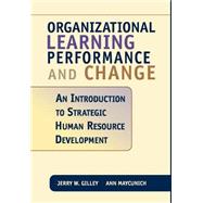 Organizational Learning, Performance And Change