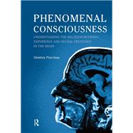 Phenomenal Consciousness: Understanding the Relation Between Experience and Neural Processes in the Brain