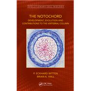 The Notochord