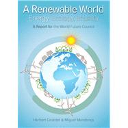 A Renewable World Energy, Ecology, Equality - A Report for the World Future Council
