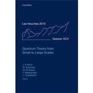 Quantum Theory from Small to Large Scales Lecture Notes of the Les Houches Summer School: Volume 95, August 2010