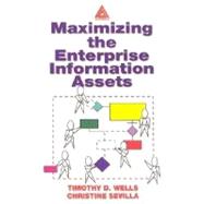 Maximizing the Enterprise Information Assets