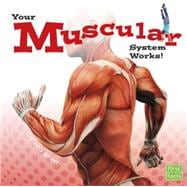 Your Muscular System Works!
