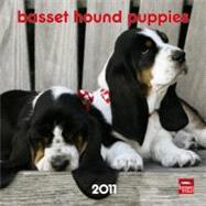 Basset Hound Puppies 2011 Calendar