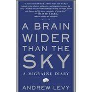 A Brain Wider Than the Sky A Migraine Diary