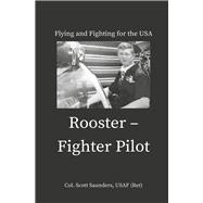 Rooster - Fighter Pilot Flying and Fighting for the USA