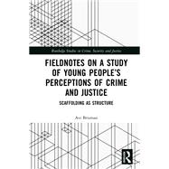 Law, Space and Cultural Criminology: Inside and Outside a Youth Court