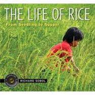 The Life of Rice