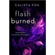 Flash Burned A Novel