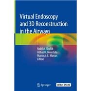 Virtual Endoscopy and 3d Reconstruction in the Airways