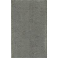 Holy Bible: New International Version, Metallic Silver Bonded Leather, Thinline