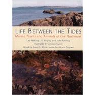Life Between the Tides Marine Plants and Animals of the Northeast
