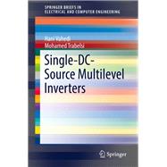 Single-DC-Source Multilevel Inverters