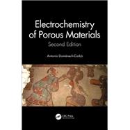 Electrochemistry of Porous Materials