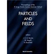 Particle and Fields: Proceedings of the X Jorge Andre Swieca Summer School, Sao Paulo, Brazil 6-12 February 1999