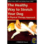The Healthy Way to Stretch Your Dog