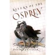 Return of the Osprey