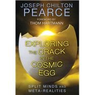 Exploring the Crack in the Cosmic Egg