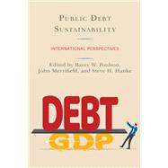 Public Debt Sustainability International Perspectives