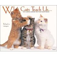 What Cats Teach Us 2007 Calendar: Life's Lessons Learned From Out Feline Friends : Don't Hesitate to show affection to those you love