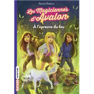 Les magiciennes d'Avalon, Tome 06