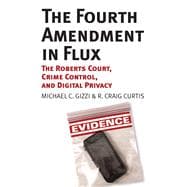 The Fourth Amendment in Flux