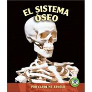 El Sistema Oseo/ The Skeletal System