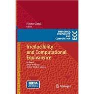 Irreducibility and Computational Equivalence