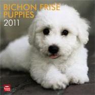 Bichon Frise Puppies 2011 Calendar