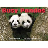 Busy Pandas