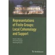 Representations of Finite Groups: