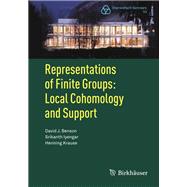 Representations of Finite Groups: Local Cohomology and Support