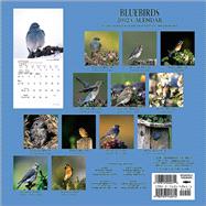 Bluebirds, 2002 Calendar