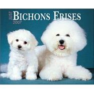 Just Bichons Frises 2007 Calendar