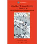 World Anthropologies in Practice