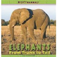 Elephants : From Trunk to Tail