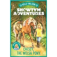 Chessy, the Welsh Pony