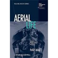Aerial Life Spaces, Mobilities, Affects