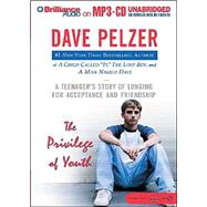 The Privilege of Youth: A Teenager's Story of Longing for Acceptance and Friendship
