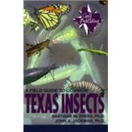 A Field Guide to Common Texas Insects