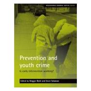 Prevention and Youth Crime