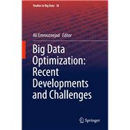 Big Data Optimization