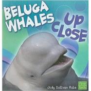Beluga Whales Up Close
