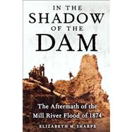 In the Shadow of the Dam The Aftermath of the Mill River Flood of 1874