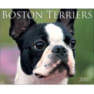 Boston Terriers 2007 Calendar