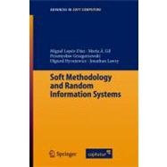 Soft Methodology And Random Information Systems