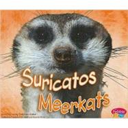 Suricatos / Meerkats