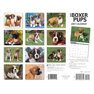 Just Boxer Puppies 2007 Calendar