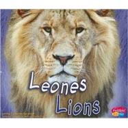 Leones / Lions