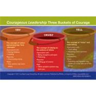 Courageous Leadership Three Buckets of Courage